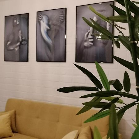 Lacazera Safari Apartment Mamoudzou Ngoại thất bức ảnh